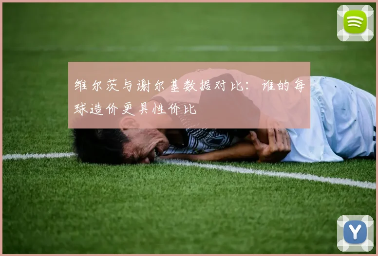 维尔茨与谢尔基数据对比：谁的每球造价更具性价比